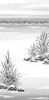 Red Twig Dogwood Shrubs - three