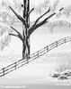 Transitional Tenacity - two