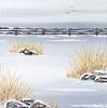 Feather Reed Grass - five