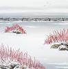 "Feather Reed Grass - two"