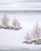 Red Twig Dogwood Shrubs - two