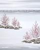 Red Twig Dogwood Shrubs - two