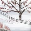 Transitional Tenacity